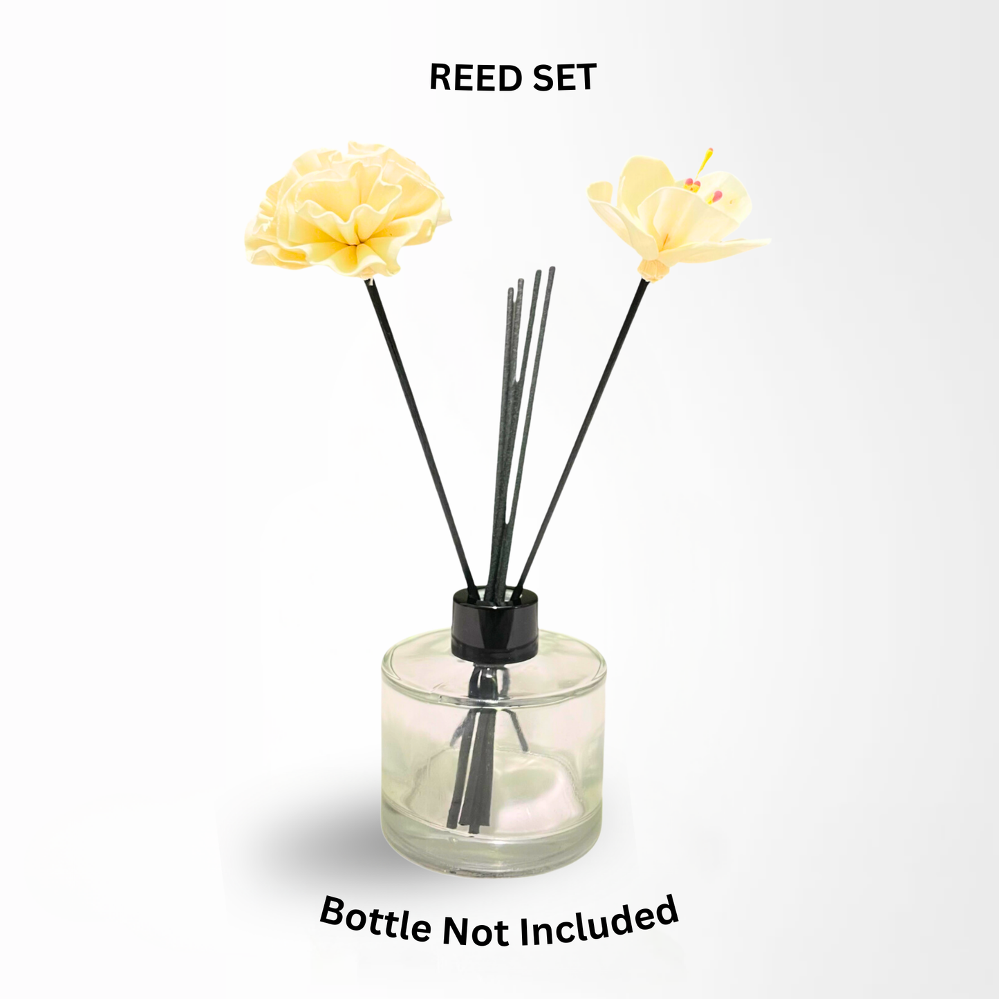 {{product_title}} by By Isra New York, {{product_type}}, inspired by fine fragrance
