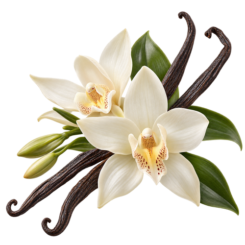 Vanilla